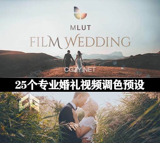 LUTs预设|25个专业婚礼视频调色预设 MotionVFX mLUT Film Wedding
