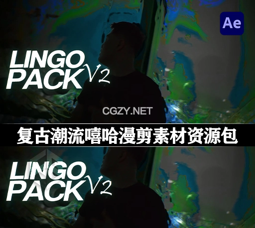 300组复古潮流嘻哈漫剪素材资源包 Payhip – Lingo Pack V2 (标题/预设/模型/纹理/LUT/音效等)