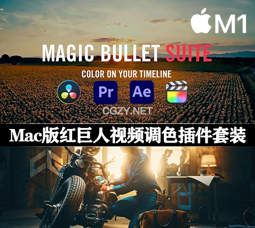 Mac版-AE/PR/达芬奇/FCPX红巨人视频降噪磨皮美颜调色插件 Magic Bullet Suite v2023.2.1