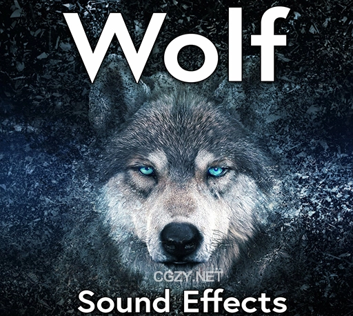 90个免费狼群嚎叫咆哮声音效素材 Wolf Sound Effects