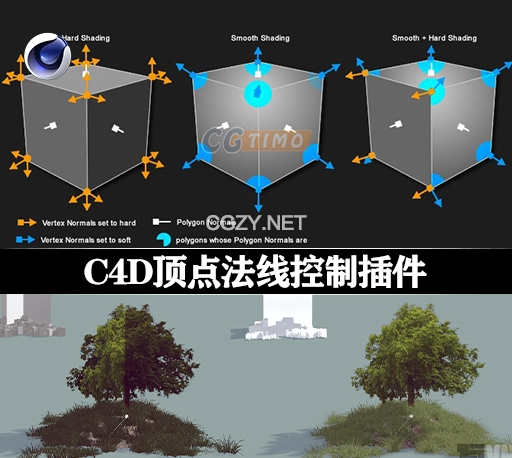 C4D插件|多边形顶点法线编辑插件 Vertex Normal Tool v1.0.5