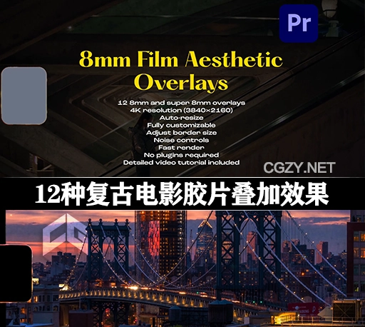 PR模板|12种复古电影胶片叠加效果 8mm Film Aesthetic Overlays