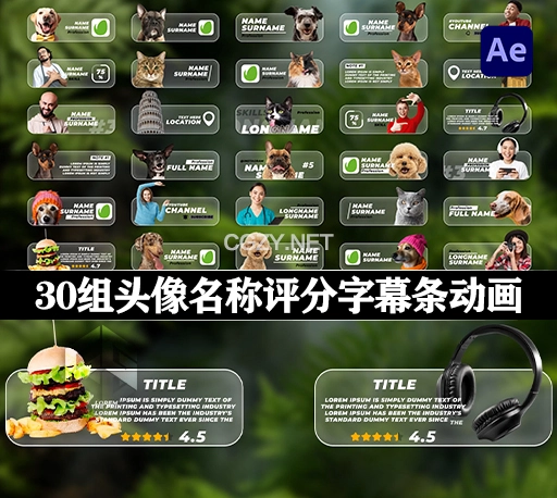 AE模板|30组带有照片或视频的多功能字幕条动画 Lower Thirds with Photo or Video