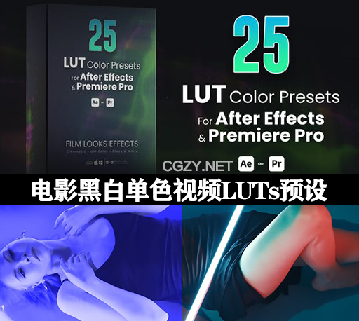 25种电影黑白单色滤镜视频调色LUTs预设 LUTs pack