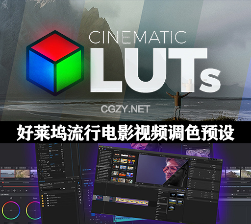 LUTs预设|120个好莱坞流行电影视频调色预设 Cinematic LUTs