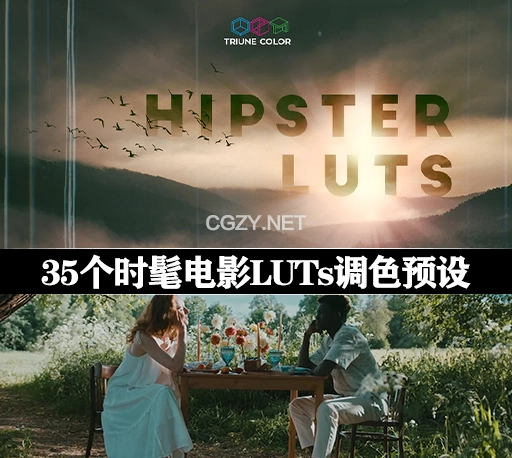 LUTs预设|35个时髦电影调色预设 Triune Digital Hipster LUTs