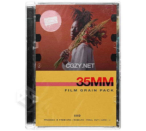 复古老电影胶片噪点颗粒视频素材 35mm Grain Pack