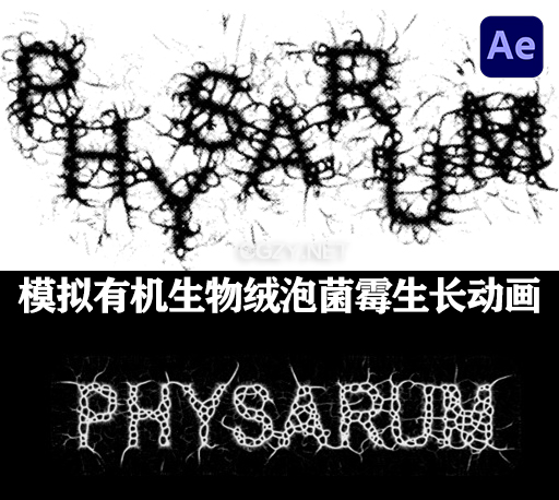 AE插件|Physarum V1.3 Win/Mac 模拟有机微生物霉菌生长动画 +使用教程