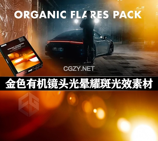 50个金色有机镜头光晕耀斑光效叠加4K视频素材 Organic Transition Golden Flares