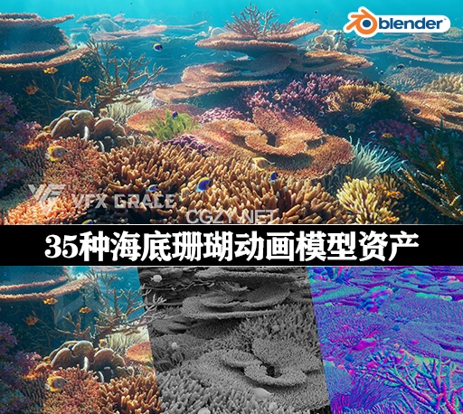 Blender模型|35种海底珊瑚动画模型资产 Corals Collection