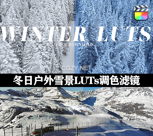 中文汉化FCPX插件|7种冬日户外雪景调色滤镜 Winter LUTs