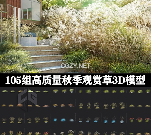 3D模型|105组高质量秋季观赏草模型 Maxtree – Plant Models Vol 109 (C4D/MAX/FBX格式)