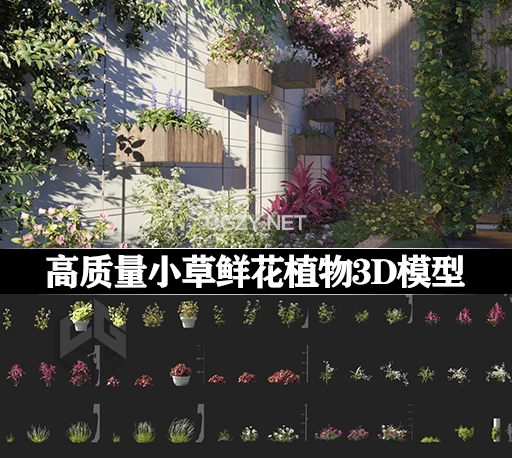 3D模型|75组高质量小草鲜花植物模型 Maxtree – Plant Models Vol 105 (3DS MAX/FBX格式)