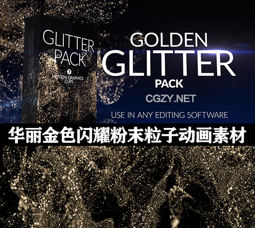 视频素材|华丽金色闪耀粉末粒子动画素材 Golden Glitter Pack