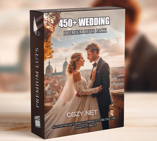 LUTs预设|450组高级婚礼视频调色预设 Premium Wedding LUTs Mega Bundle: Over 450 Professional Color Grading LUTs