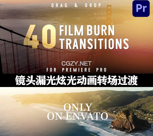 PR模板|40种唯美漂亮镜头漏光炫光动画转场过渡 Film Burn Transitions