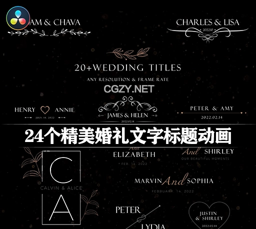 达芬奇模板|24个精美婚礼文字标题动画 Wedding Titles Templates
