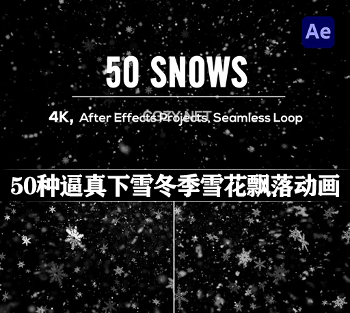 AE模板|50种逼真下雪冬季雪花飘落动画 Realistic Snow Falls Projects Pack
