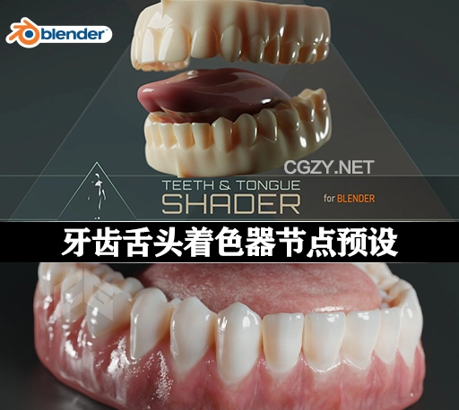Blender牙齿和舌头着色器节点预设 Universal Human Teeth & Tongue Shader