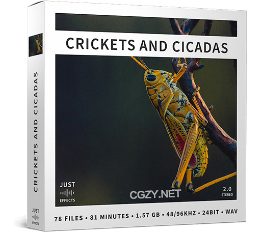 音效素材|78个自然环境蝉蚂蚱蟋蟀动物叫声无损音效 Crickets And Cicadas