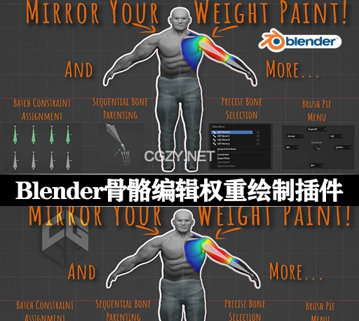 Blender插件|骨骼编辑权重绘制工具 Weight Paint and Bones A Blender Toolkit v1.1.0