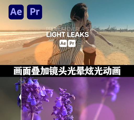 AE/PR模板|画面叠加镜头光晕炫光动画 Premium Overlays Light Leaks