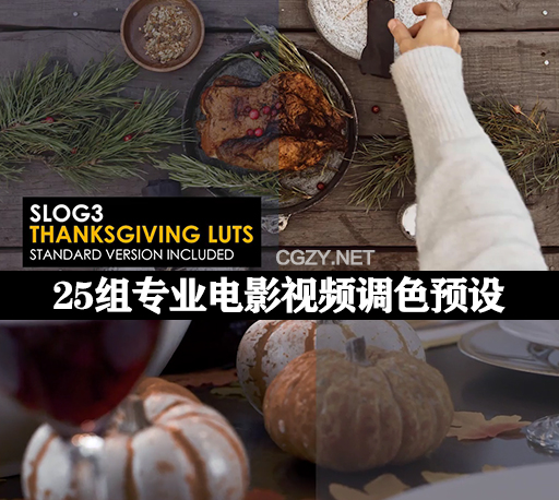 LUTs预设|25组专业电影视频调色预设 Slog3 Thanksgiving And Standard LUTs