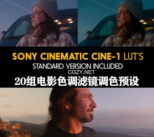 LUTs预设|20组电影色调滤镜调色预设 Sony Cinematic Cine-1 and Standard Luts