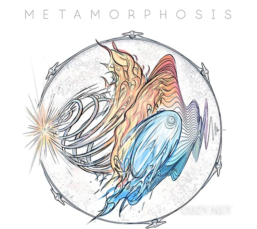音效素材|2300种烟花发射爆炸能量冲击音效素材 Metamorphosis
