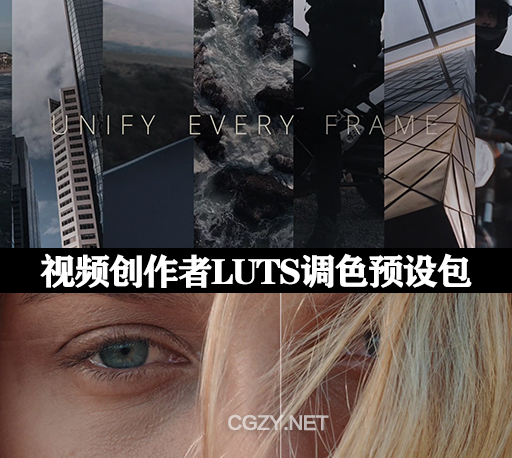 LUTS预设|视频创作者摄像师、电影制作人调色预设包 LENS DISTORTIONS – Finishing LUTs Bundle