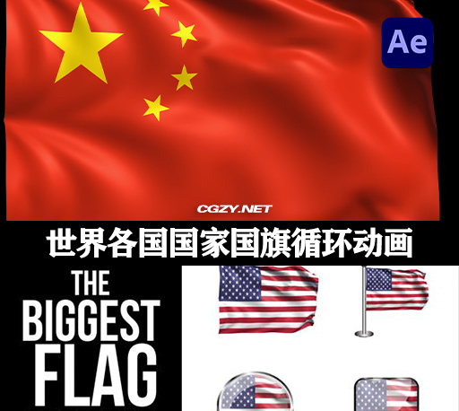 AE模板|221个世界各国国家国旗循环动画 221 Looping World Flags