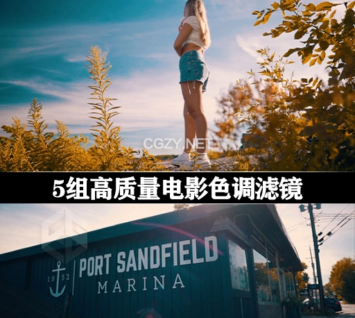 5组高质量油管大神Daniel Schiffer出品电影色调LUTs滤镜预设