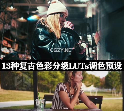 13种复古色彩分级LUTs调色预设 Daniel Schiffer Vintage Look LUT Pack