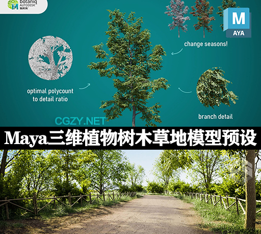 Maya预设|三维植物树木草地模型预设包 Botaniq Maya v1.0