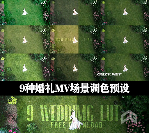 LUTS预设|9种婚礼MV场景调色预设 Wedding LUT