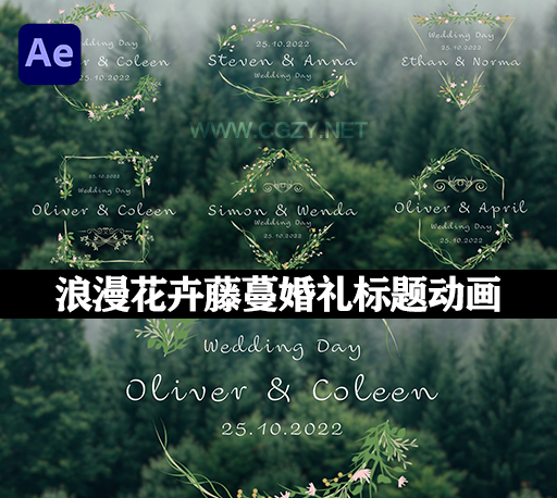 AE模板|清新浪漫花卉藤蔓婚礼文字标题动画 Wedding Titles