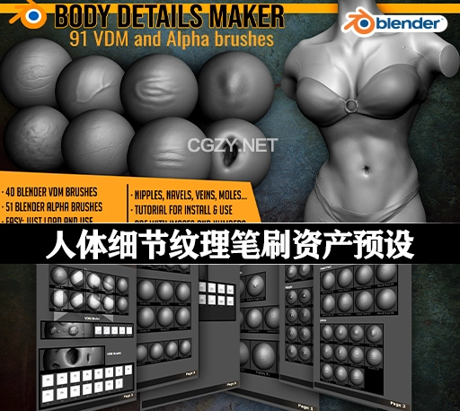 Blender预设|人体细节纹理笔刷资产预设 Body Details Vdm Brushes For Blender
