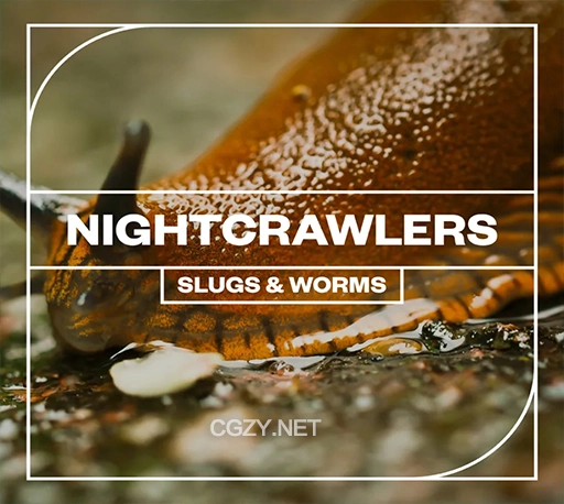 25个鼻涕虫蜗牛爬行声音蠕虫动物音效 Blastwave FX – Nightcrawlers Slugs and Worms