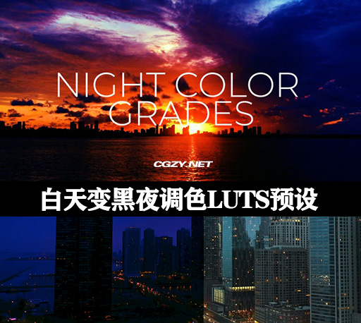 LUTS预设|10种白天变黑夜调色预设 Night Color Grades