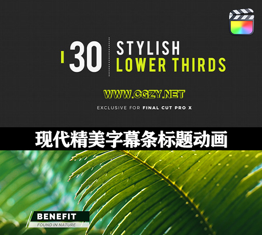 FCPX插件|30个时尚现代精美字幕条标题动画 Stylish Lower Thirds