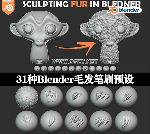 Blender插件|31种毛发笔刷预设 Sculpting Fur And Hair Brushes
