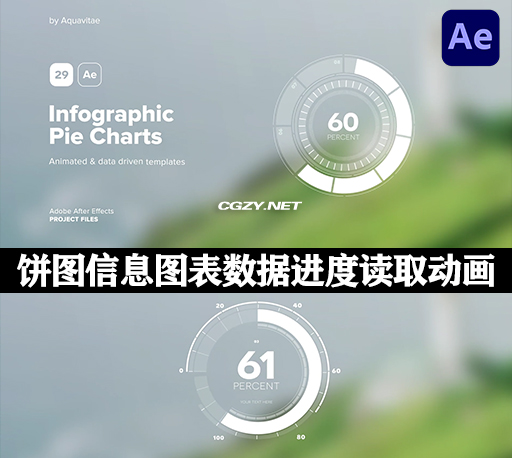 AE模板|29种饼图信息图表数据进度读取动画 Infographic Pie Charts