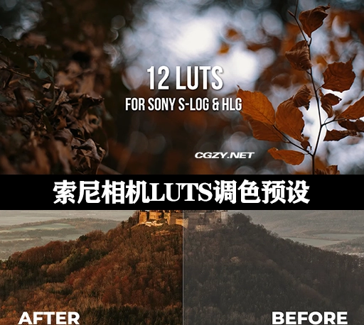 LUTS预设|12组专业索尼相机LUTS调色预设 LUTs for Sony A7S III / A7III for HLG & S-LOG