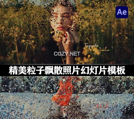 AE模板|精美粒子飘散照片幻灯片动画 Original Particles Slideshow