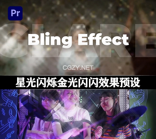 PR预设|星光闪烁金光闪闪效果预设 Bling Effect
