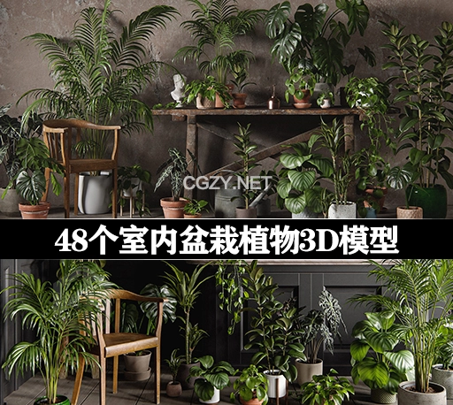 48个高质量室内盆栽植物3D模型 3DCollective – Interior Plants Pack 01【3DS MAX/OBJ格式】
