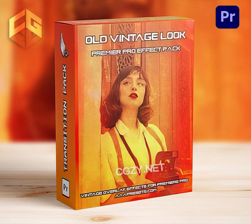 PR模板|复古电影胶片污渍划痕纹理叠加效果 Damaged Film Looks Overlay Effect