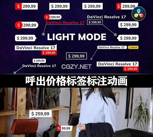 达芬奇模板|45种呼出价格标签标注指示线动画 Price Tags & Call Outs