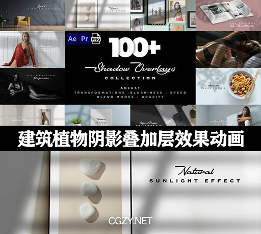 AE/PR模板|100种建筑植物阴影叠加层效果动画 Realistic Shadow Overlays Collection