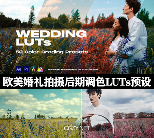 调色预设|100种欧美婚礼拍摄后期调色LUTs预设 Colorify Wedding LUTs